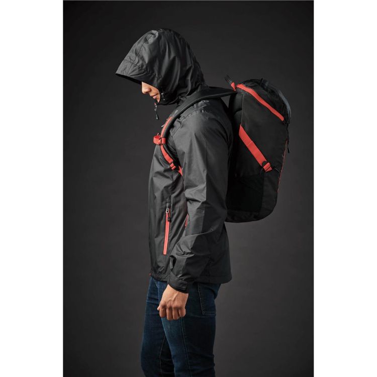 Picture of Whistler Backpack