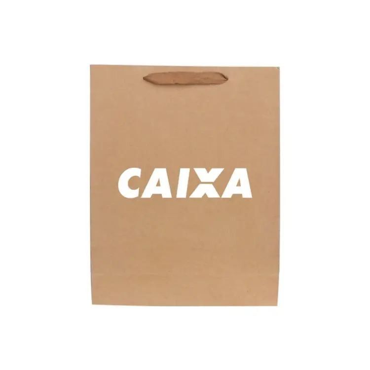 Picture of Medium Vertical Paper Bag with Fabric Flat Handle(210 x 270 x 110mm)
