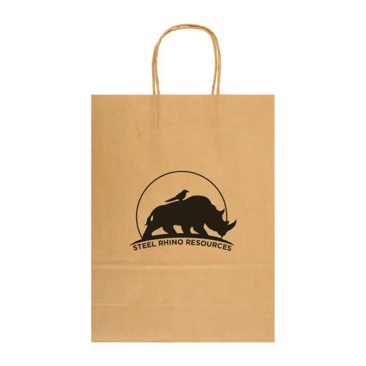 Picture of Express Paper Bag Large