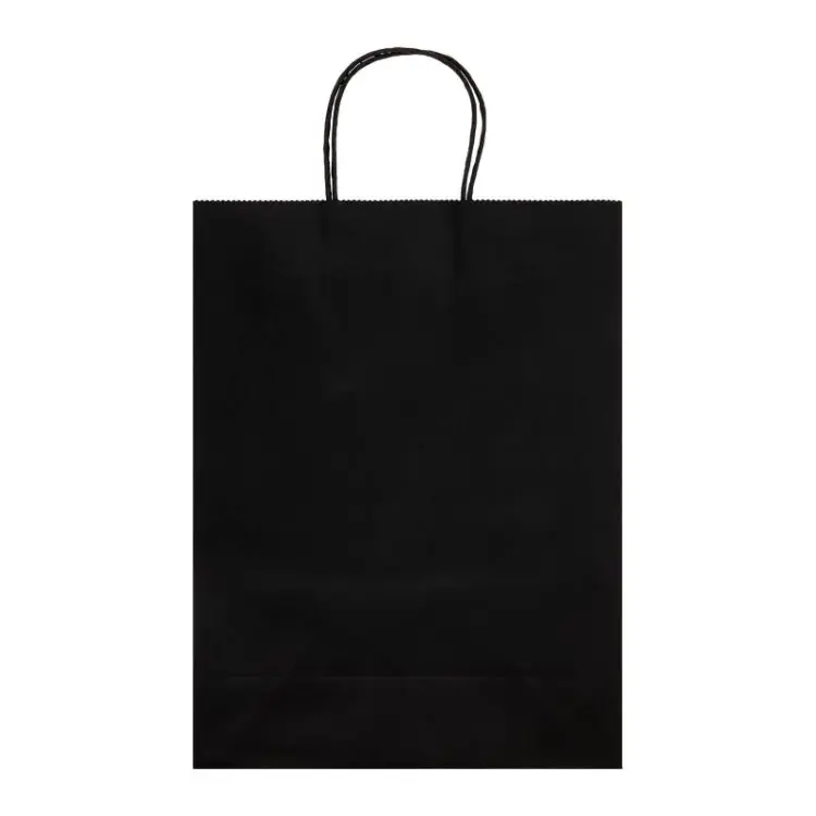 Picture of Express Paper Bag Large