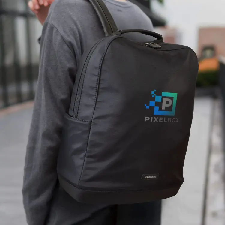 Picture of Moleskine Ripstop Backpack